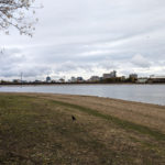 Edgbaston Reservoir