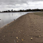 Edgbaston Reservoir